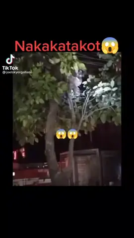 Nakakatakot 😱😈👹👺#trending #horror #halloween #aswang #evil #wakwak #viral #multo #katatakotan