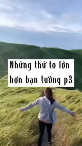 Những thứ to hơn bạn nghĩ - Part 3 #trend #fyp #foryou #foryoupage #huge #education #todayilearned #viral #interesting