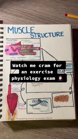 Come study ex phys with me #exphys #OscarsAtHome #dptstudent #futuredpt #spt #physicaltherapy