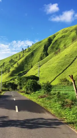 Sepanjang jalan menuju Desa Silalahi kalian akan dimanjakan pemandangan bukit-bukit yang hijau 🍃 #indonesia #desasilalahi #danautoba #sumut #pesonaindonesia #travel