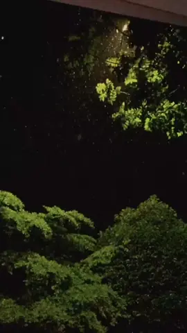 #quotes #dawuhmasyayikh #dawuhyai #dawuhulama #OreoBantuAyah #dawuhguru #dawuhmaiyah #khasanah #caknun #caknunvideo #caknunofficial #mbahnun #mbahnun😇🙏🏻 #mbahnunquotes #mbahnunbertutur #mbahnunnajib #motivasi #motivasihidup #quotes #maiyah #maiyahnusantara #maiyahan #maiyahindonesia #padhangmbulan #kenduricinta #macopatsyafaat #bangbangwetan #bangbangwetankiaikanjeng #kiaikanjeng