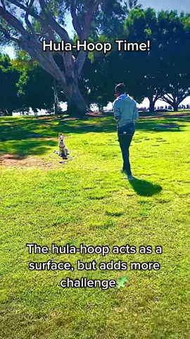 Puppy Park Training #puppiesoftiktok #dog #dogs #dogsofttiktok #puppy #DogTraining #training #dogtrainer #park #spring #cute #smart #seehergreatness #whenwomenwin #fyp #foryou