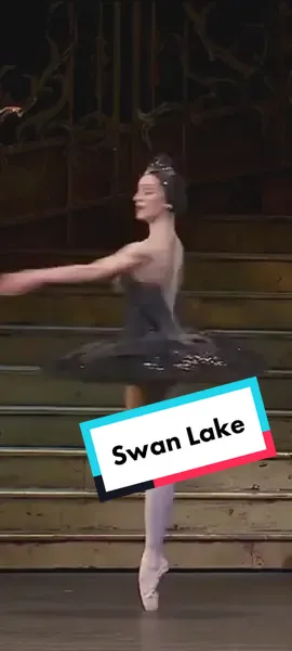 Light switch challenge, Swan Lake style 💫 #ballet #dance #theatre #swanlake #performance