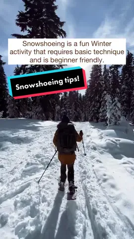 Winter lovers, get your notepads handy for these top Snowshoeing tips! 📝@visualsbymelissafindley #ChooseTheOutdoors #snowshoeing #wintersport #winterwonderland