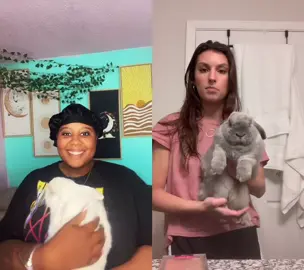 #duet with @camit0eisah0e_ Daisy Winter Moon and I agree! #BridgertonScandal #OscarsAtHome #HaloSilverTeam #WomenOwnedBusiness #LizzosBigGrrrls #BunniesOfTiktok #ForYou #FYP #ForYouPage