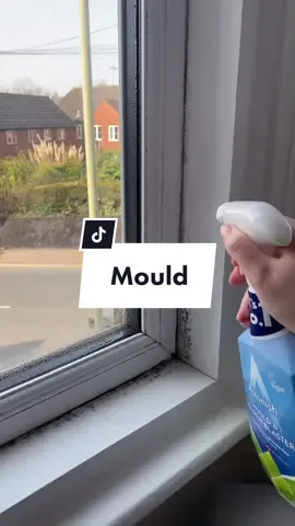 Cleaning ✨mould✨ This spray is essential🙌🏻 #CleanTok #cleaningmould #mouldremoval #astonish
