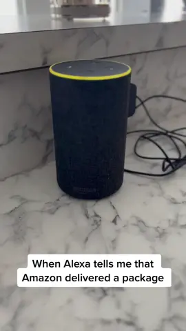 Best. Sound. Ever. #amazon #alexa #delivery #run #fyp #foryou #foryoupage #itshere #fastwalk