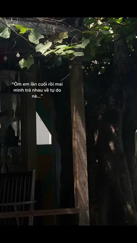 Gặp nhưng không ở lại. #fyp #tiktok #xh