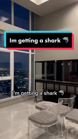 It’s not a villain lair if there isn’t a shark #shark #aquarium #fishtank #villainlair #penthouse