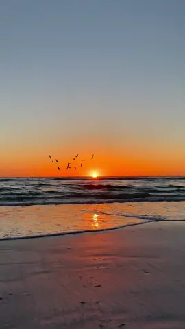 sun down / / music by @emanuelag653 #fyp #filmtok #sunset #beach #nature