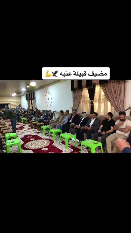 #واسط_العزيزيه #مرتضى_اركان #اكسبلور #نصاح_التيك_توك #مشاهير_تيك_توك #عشائرالعراق #مكافآت_تيك_توك