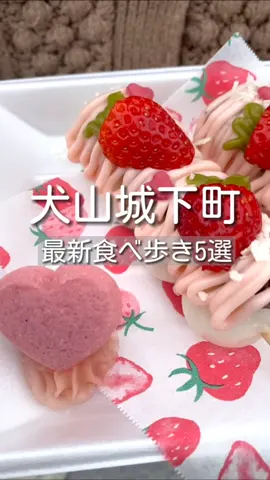 犬山城下町最新食べ歩き！#おすすめスポット #tiktokグルメ #犬山城下町 #犬山城下町食べ歩き #犬山グルメ #愛知グルメ #愛知カフェ #愛知観光 #食べ歩き #テイクアウト #スイーツ