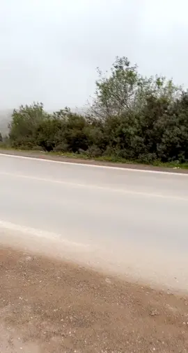 Wald OUADAH LAPUISSANCE