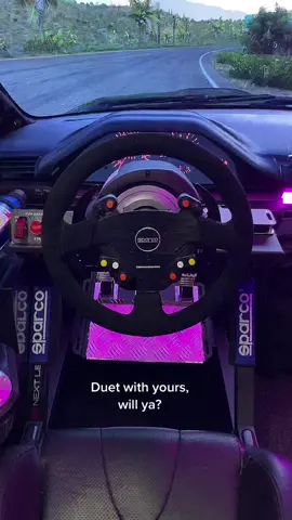 Duet with your 🤩 steering wheels #gaming #simracing #carlover  #thrustmaster #fypシ #viral
