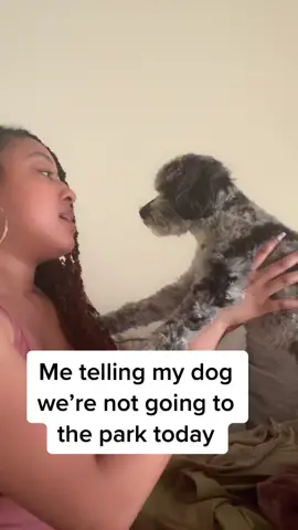 #dogmom #dogtiktok #BlackTikTok #fyp