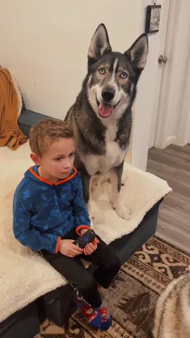 Some wholesome content for your Saturday evening ♥️