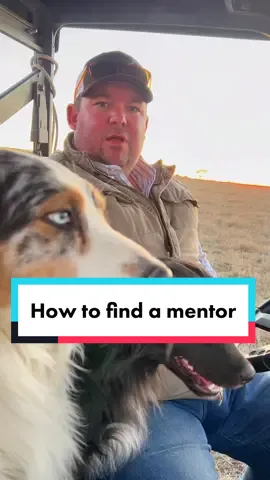 How do you find a #mentor? #RanchTok #AgTok #KeepRanchin #KingOfTikTok #RanchLife #Ranch #austrailianshepherd #ranchdog