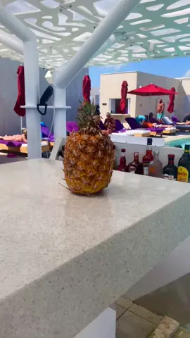 Take me back 😞 #UnsealTheMeal #OscarsAtHome #InstaxChallenge #WomenOwnedBusiness #BridgertonScandal #cancunmexico #fyp