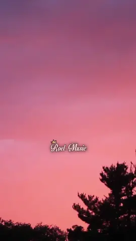 Un Jardín Prohibido 🌹 #tonyvega #romantic #salsa #parati #lyrics #viral #amor #fypシ #music