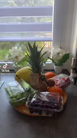 Obstplatte🍌🍓🍇🥭🍍🍎🍊#food#fruit#obst#obstplatte#foryou#selfmade#InstaxChallenge#essen#erdbeer#foodvideo#fruitplate#tropical#fyp#lecker