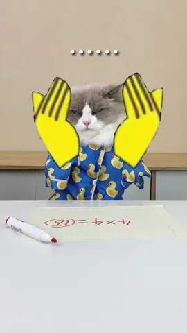 Wonder if we can get @Khabane Lame  ✪ to duet 😃😃😃 #thatlilttlepuff #khabylame #catsoftiktok