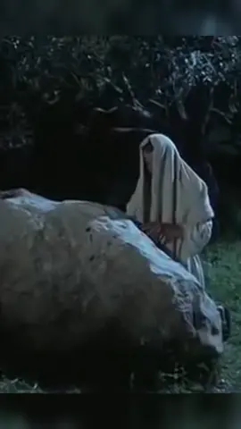 vamos a Orar juntos 🙏🕊🧎‍♂️🙌#oracion #jesus #fe