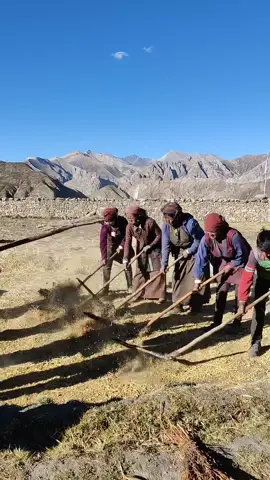 Karnali lifestyle, people of upper dolpo. #nepal #travel #dolpo