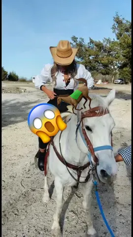 #horse #creandocontenido #viajestiktok #dallastx #🐎 #👯‍♀️ #tallgirls #modeling #creandomemorias #💎 #enjoy #peaceandlove #oscar