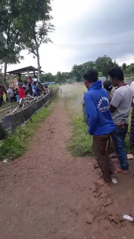 lama tak gendong Glenyer #metoosmile #warungmadura24jam #sumenep #motogpindonesia #OreoBantuAyah #viral #kerapankambingtradisimadura #madurar #fyb #ShowYourFreestyle #GlycoPeelToGlow #mandalikacircuit #toko