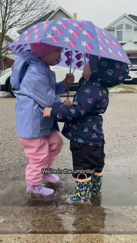 Another day, another puddle hunt