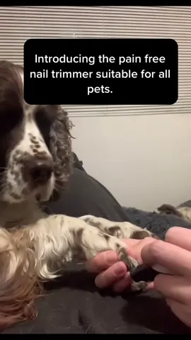 Painless electric nail trimmer available to purchase. LINK IN DESCRIPTION #PetsOfTikTok #PetsOfTikTok #nail #fyp #nailtrimmer #petsnails