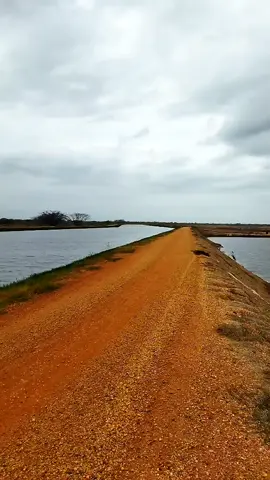 Estado Zulia Venezuela piscinas para camarones.