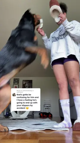 Reply to @wefriendsbaby  when it doubt test it out! 🤣  #rottweiler #SmellLikeIrishSpring #dogsofttiktok #PetsOfTikTok #puppiesoftiktok #fashiontiktok #whenwomenwin #MarchMadness #WomenInGaming #chopfromgta #oscars #oscarsathome #gamertiktok