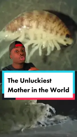 I’m gonna get a lot of mileage out of this prompt #nature#horrotok#cursedimages