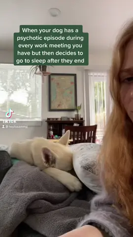 But ofc #shepsky #dogsofttiktok #wfh #foryou #SmellLikeIrishSpring #foryou #husky #germanshepherd #siri