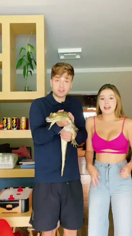 do nada um jacaré 🐊 kkkk