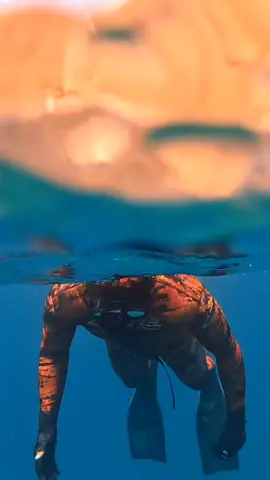 Dos mundos #pescasubmarina #pescasub #spearo #spearfishing #pesca #canarias #españa #yecan #snorkel @yecan_spearfishing