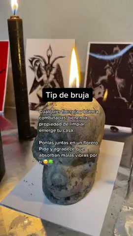 #bruja #brujeria #tiktaco #amarre #limpia #witch #witchtoker