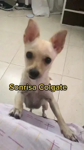 🤣🤣🤣🤣🤣🤣