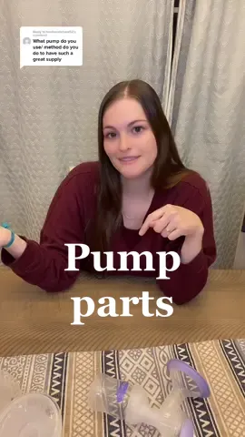 Reply to @heatherehrhard52  this is all my pumping stuff! #pumpingmom #momtok #MomsofTikTok #mom