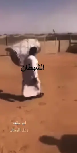 ههههههههههههههههههههههههه#الهاشتاقات_للرخوم🧢 #ترند #لايك #2022 #نكت