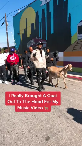 @Tom Brady #musiciansoftiktok #rappersoftiktok #raptok #rappertok #fypシ #fyp #4uu #musicvideo #goat #tombrady #foryoupage #musicartist #risingartist #yxngviz