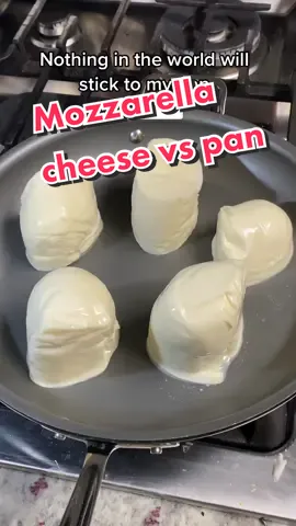 Reply to @pepobrim Mozzarella cheese