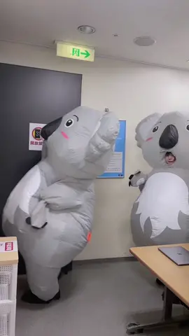 コアラの行進🐨 #アイドル #おすすめにのりたい