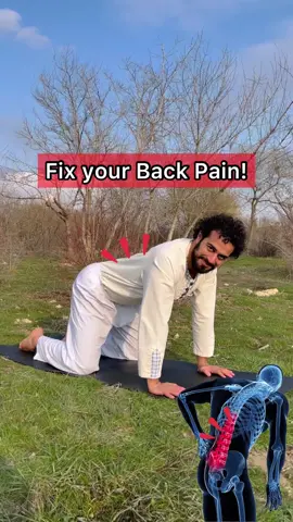For a complete back pain course check out my profile link 🙏#pouyayoga #lowerbackpain