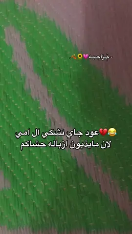 😂😂انوب يكله روحي ذبي ازباله حشاكم عود لَيــِْ♡̷̴̬̩̃̊ـِْش تتنرفزون م̷ـــِْن ازباله