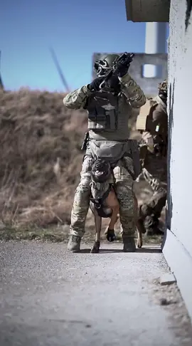 Tactical-K9-Training with @onetigris_official Metall Bucket Harness #dogtips #DogTraining #onetigris #k9unit #specialforce #k9 #shepherd #military #dog #team #strong #airsoftclips