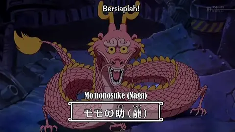 ⚠️Warning Spoiler!!⚠️ #onepiece #momonosuke #luffy #fyp