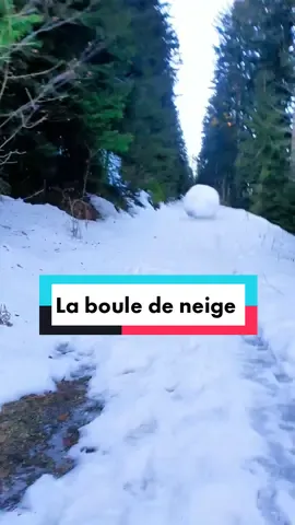 Vous avez déjà vu une boule de neige aussi grosse ❄️☃️ ? Merci @nobuo_ @waythes @brunorecchia3 @elina_tasha 😍 #neige #montagne #snow #boule #gerardmer