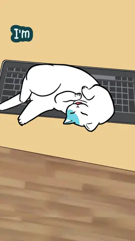 My cat won’t move #funnycat #cats #workproblems #animated #animator #fypシ